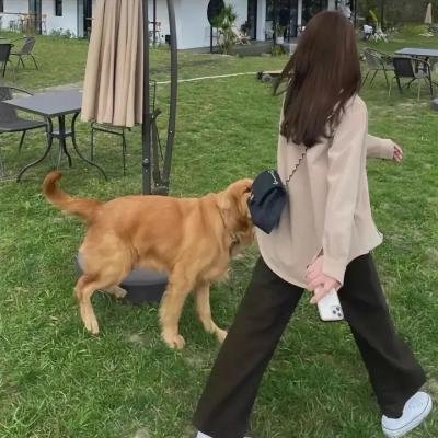 拳击少女和爆疯大叔